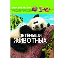 Фотоэнциклопедия "Детеныши животных" из серии Мир вокруг нас