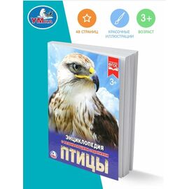Детская энциклопедия с развивающими заданиями "Птицы"