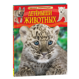 Детская энциклопедия "Детеныши животных" от издательства Росмэн