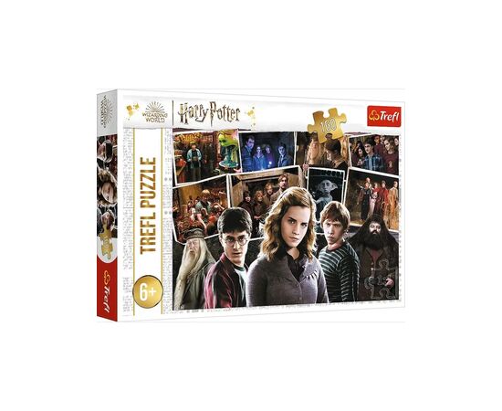 Пазл от бренда Trefl "Гарри Поттер и друзья" серия Гарри Поттер, 160 элементов