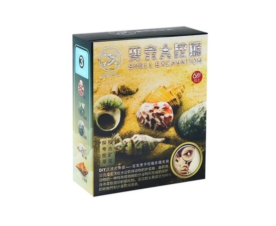 Набор для раскопок "Ракушки"