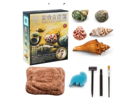 Набор для раскопок "Ракушки"