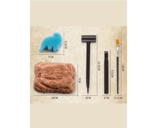 Набор для раскопок "Ракушки"