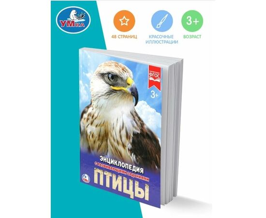 Детская энциклопедия с развивающими заданиями "Птицы"