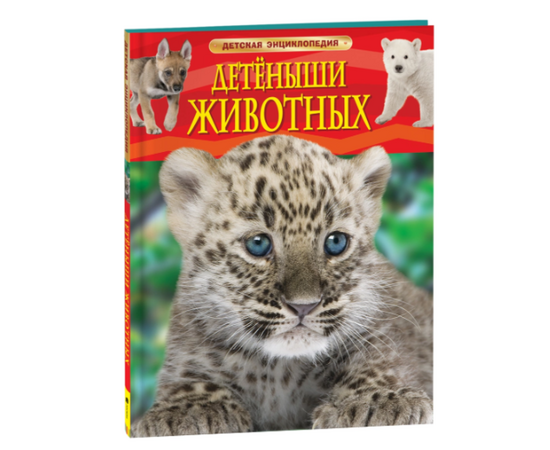 Детская энциклопедия "Детеныши животных" от издательства Росмэн