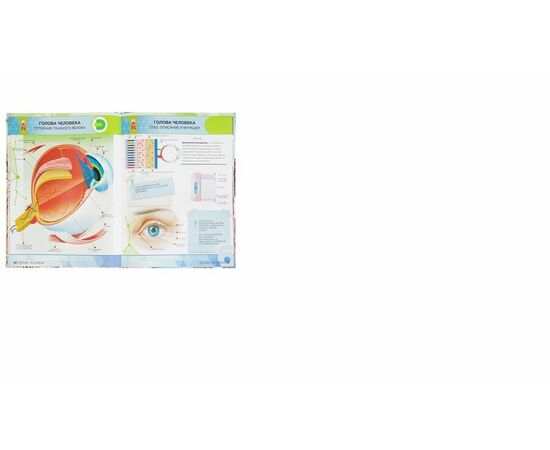 4Д Энциклопедия в дополненной реальности "Анатомия"