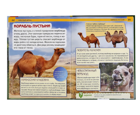 Детская энциклопедия с развивающими заданиями "Животные фермы"