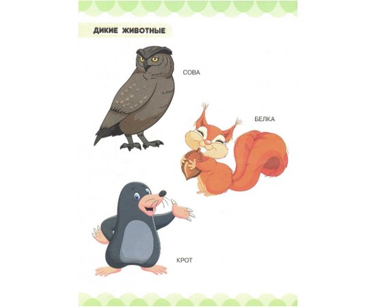 Первая книга малыша "В царстве зверей, птиц и растений" от издательства Харвест