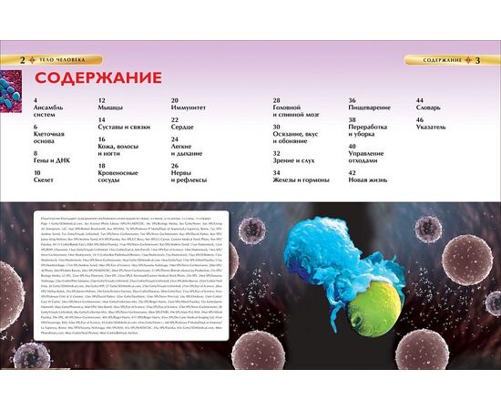 Детская энциклопедия "Тело человека" от издательства Росмэн