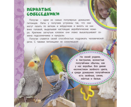 Детская энциклопедия "Домашние питомцы" из серии Самая первая энциклопедия