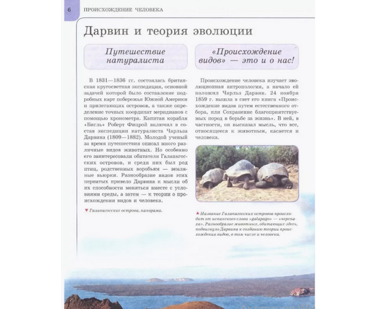 Энциклопедия "Человек" из серии Отличная Энциклопедия