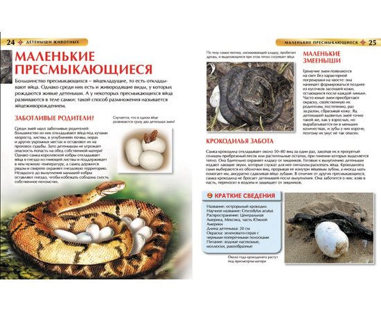 Детская энциклопедия "Детеныши животных" от издательства Росмэн