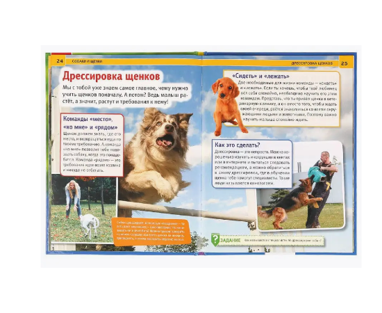 Детская энциклопедия с развивающими заданиями "Собаки и щенки"