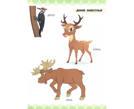 Первая книга малыша "В царстве зверей, птиц и растений" от издательства Харвест