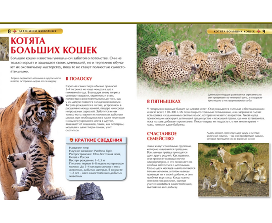 Детская энциклопедия "Детеныши животных" от издательства Росмэн