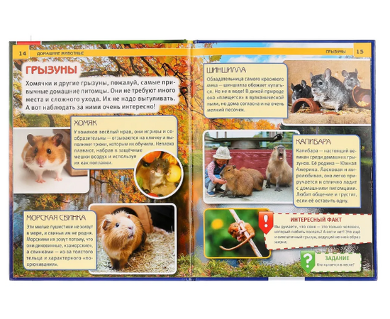 Детская энциклопедия с развивающими заданиями "Домашние животные"