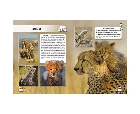 Фотоэнциклопедия "Детеныши животных" из серии Мир вокруг нас