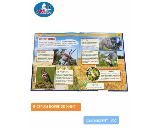 Детская энциклопедия с развивающими заданиями "Птицы"