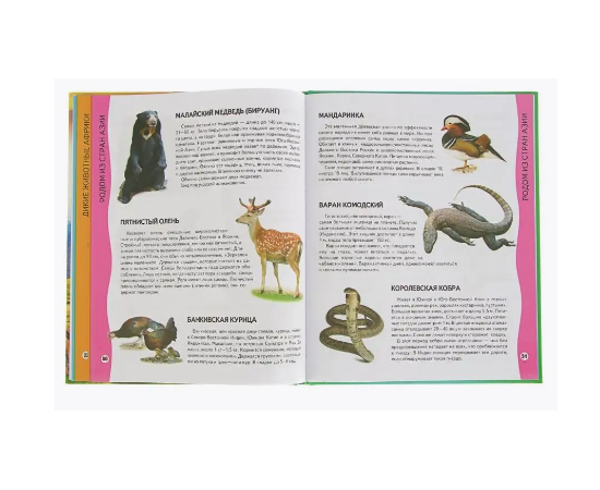 Энциклопедия животных из серии Всезнайка, от издательства Пегас