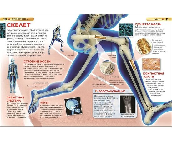 Детская энциклопедия "Тело человека" от издательства Росмэн
