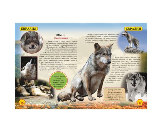 Фотоэнциклопедия "Дикие животные" из серии Мир вокруг нас
