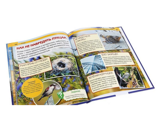 Детская энциклопедия с развивающими заданиями "Птицы"