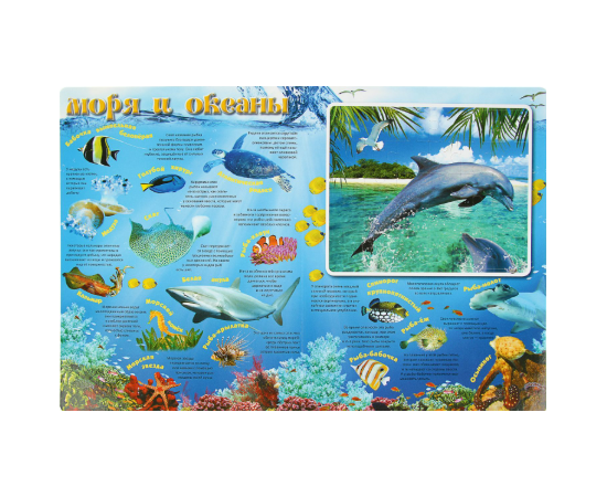 Книга-игра "Животный мир. Собери пазл" от издательства Виват